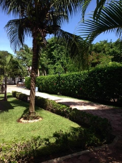 B&B Villa Hibiscus Playa del Carmen Buitenkant foto